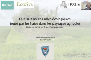 Ecologie des haies dans les paysages agricoles : focus sur les champignons - Intervention de Pierre-Antoine Précigout